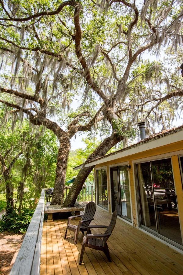 Riverfront Treetop Bungalow Homosassa Zewnętrze zdjęcie
